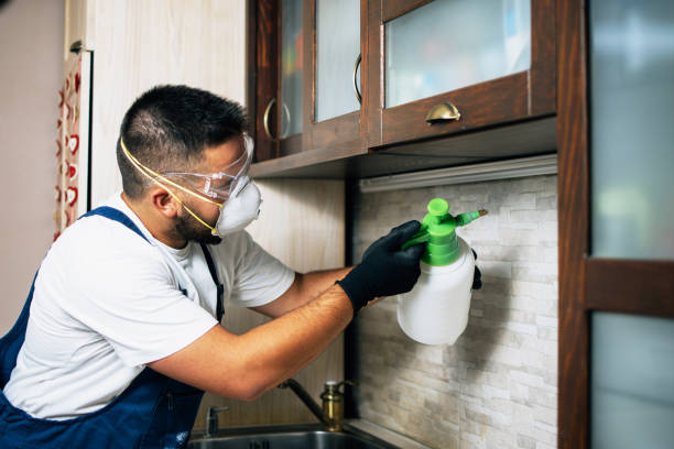 Best Bed Bug Extermination  in North Apollo, PA