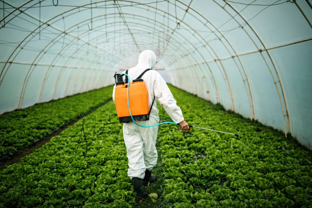Best Pest Inspection Near Me  in North Apollo, PA
