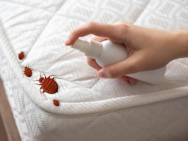 Best Residential Pest Control  in North Apollo, PA